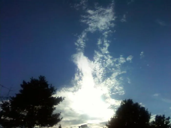 Like A Dove