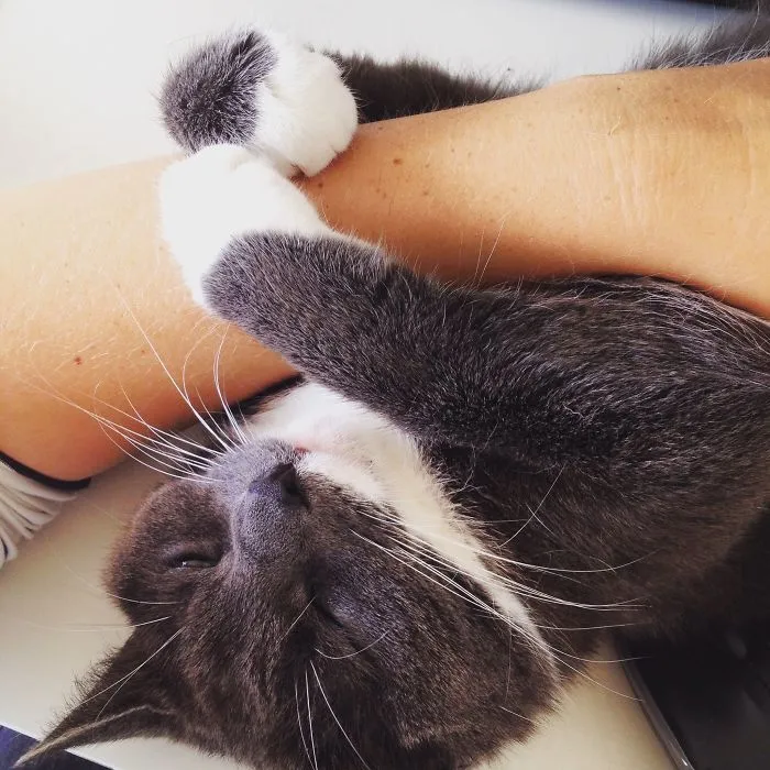 Hugs & Sleeps