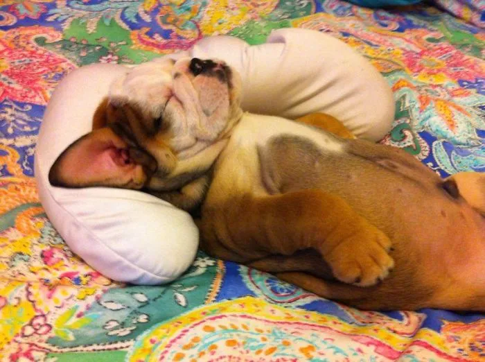 Sleeping