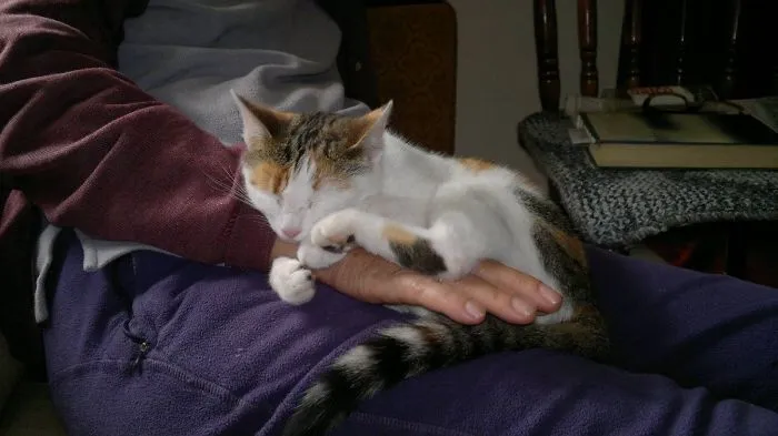 This Is My Hand...