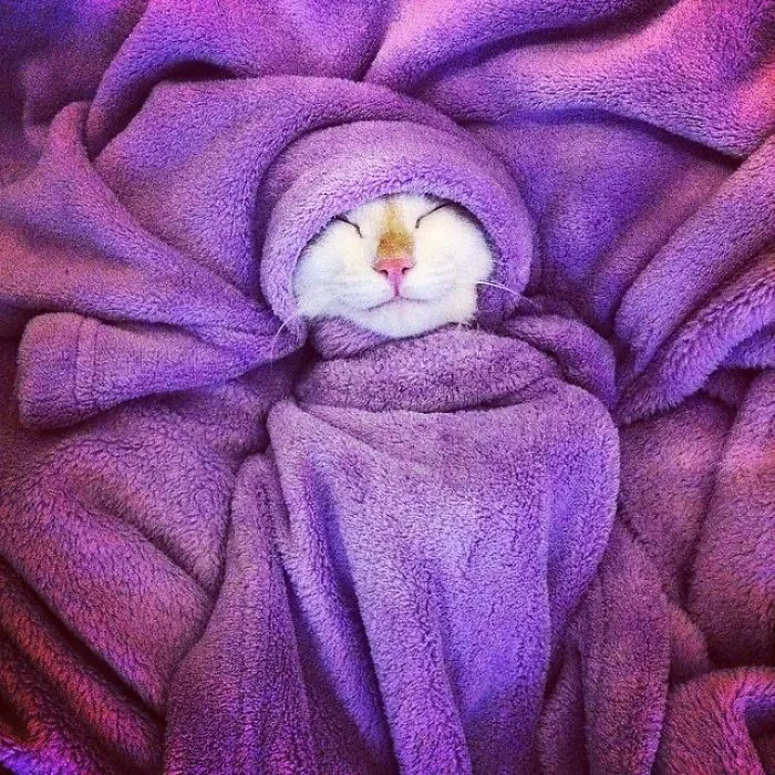 Frida Sleeping In The Winter