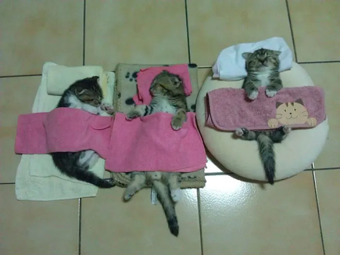 Little Friends