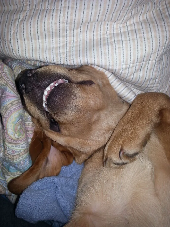 He Loves Sleeping In My Bed