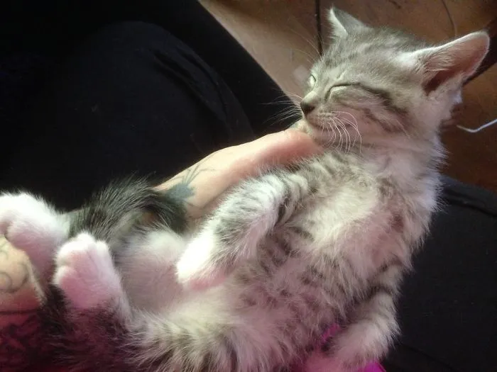 Crashed!