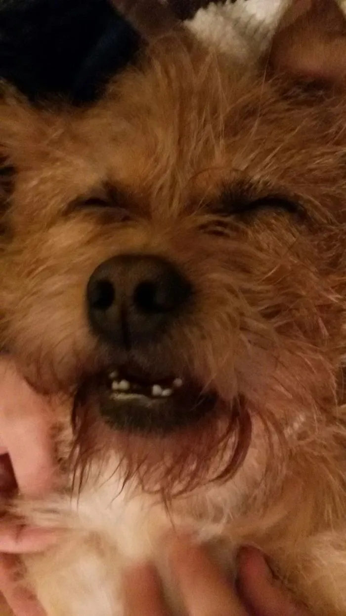 Evening Coma