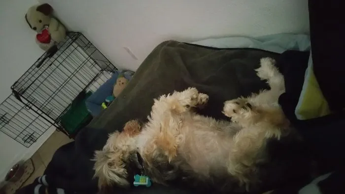Money Sleep...