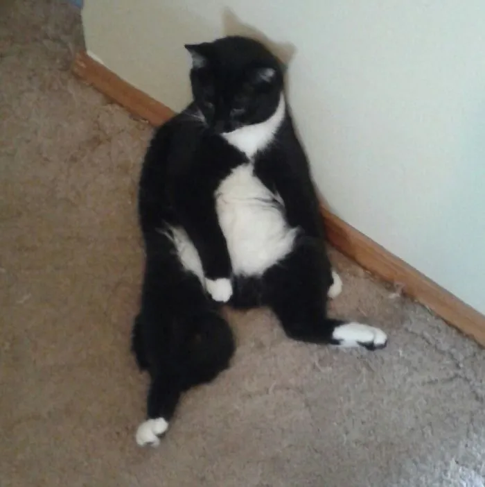 Lazy Boy Was Taken.