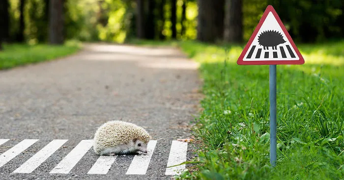 We Made Tiny Road Signs For Tiny City Residents In Vilnius, Lithuania