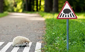 We Made Tiny Road Signs For Tiny City Residents In Vilnius, Lithuania
