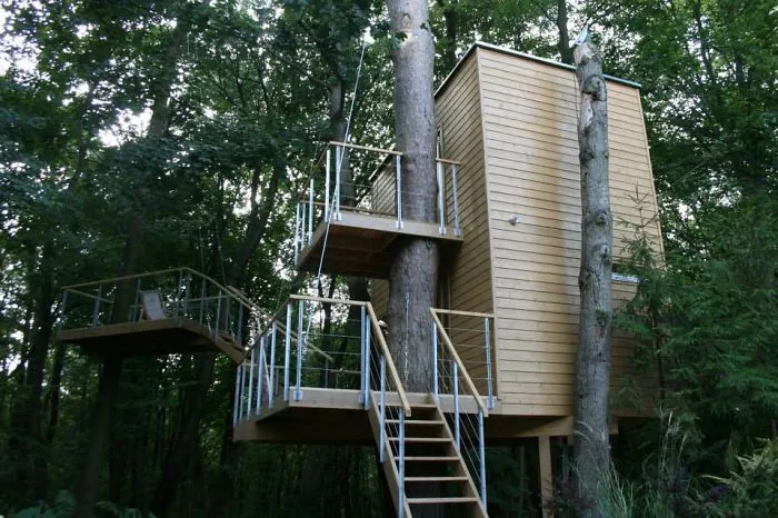 Tree Apartments