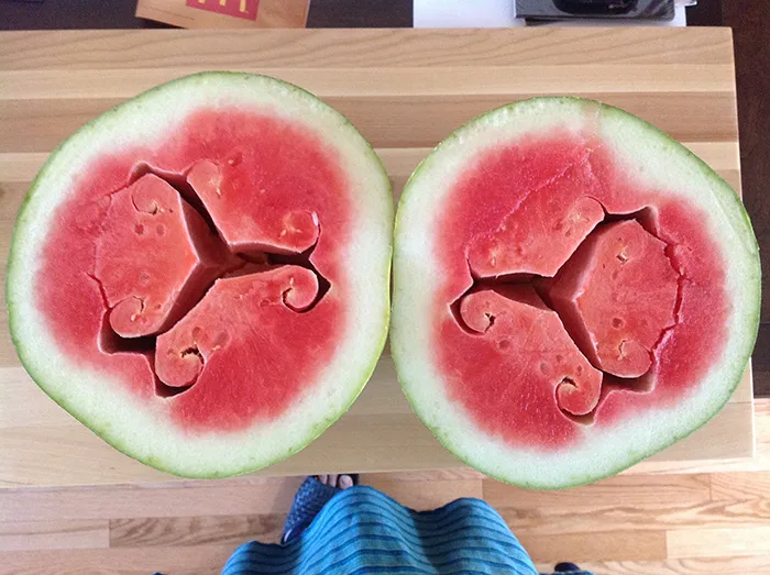 I Got Unreasonably Excited When I Cut Open My Watermelon And Saw This