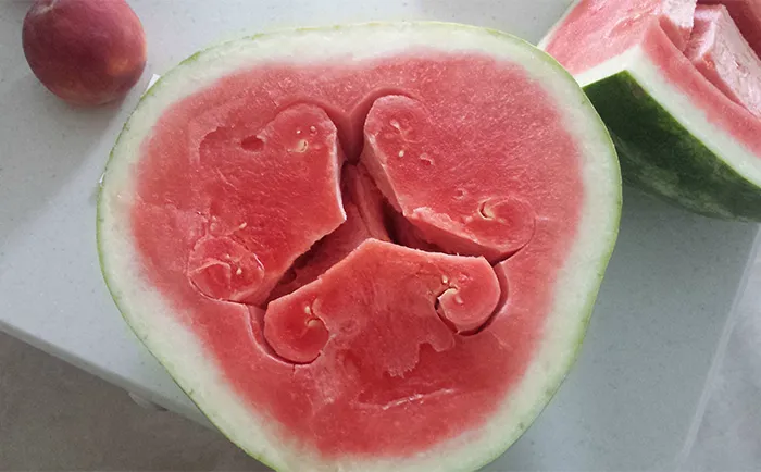 My Watermelon Had An Interesting Shape On The Inside