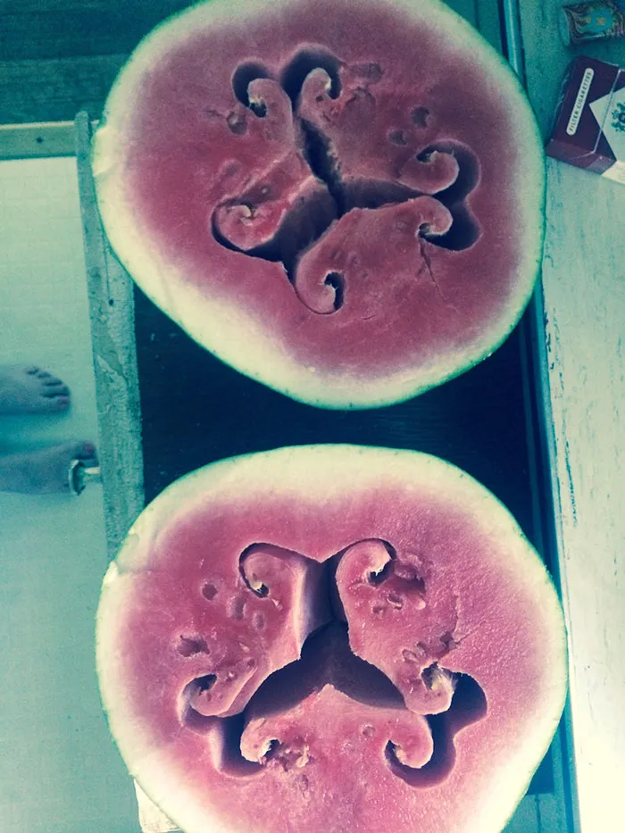 Awesome Example Of "hollow Heart" In My Friend's Watermelon