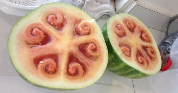 These Beautiful Watermelon Patterns Are Driving Everyone Crazy