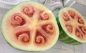 These Beautiful Watermelon Patterns Are Driving Everyone Crazy