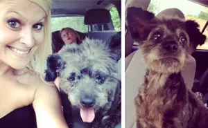 Woman Adopts Dying Dog To Make His Final Days As Happy As Possible