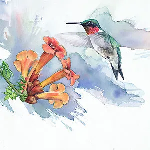 Anne Balogh