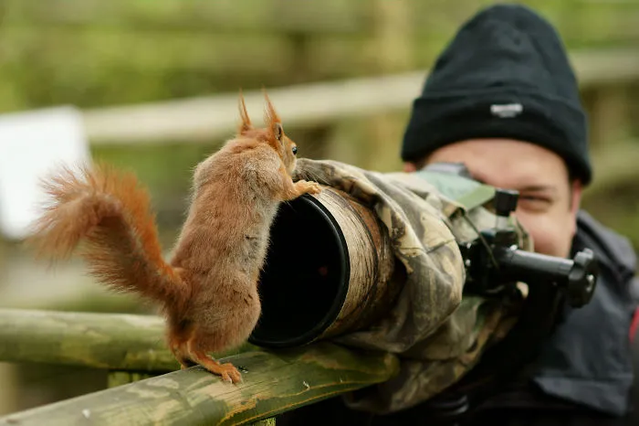 51 Animals That Want To Be Photographers