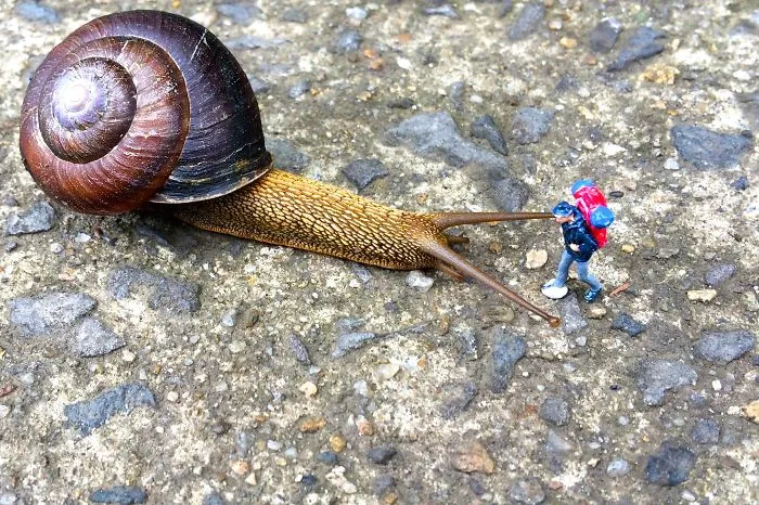 Big Adventures With Tiny People  - Tiny Adventures With Rachel