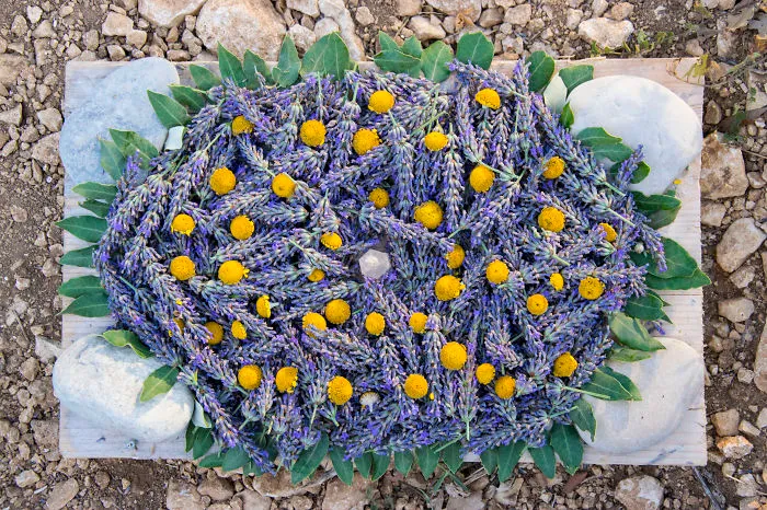 Lavender Art Attracts Bees