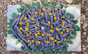 Lavender Art Attracts Bees