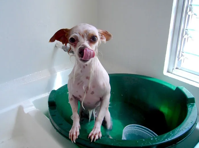 Bath Water Is Yum!