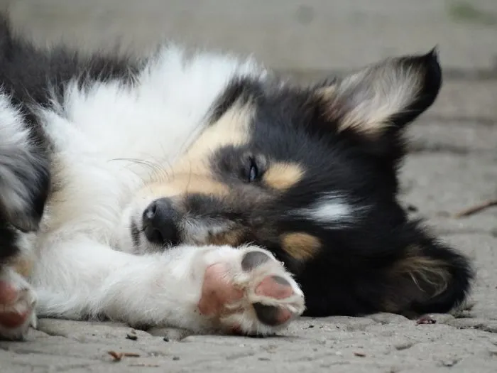 Soooooo Tired