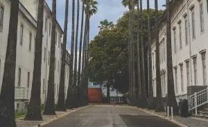 Jardim Botânico, Lisbon