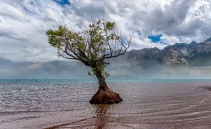 New Zealand's South Island Is Heaven On Earth