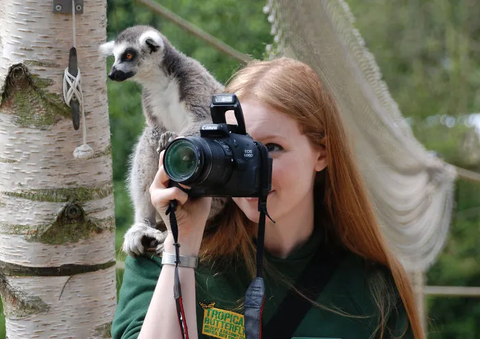 51 Animals That Want To Be Photographers