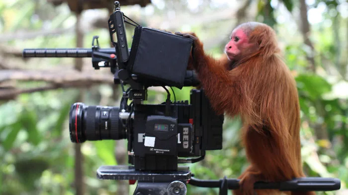 51 Animals That Want To Be Photographers