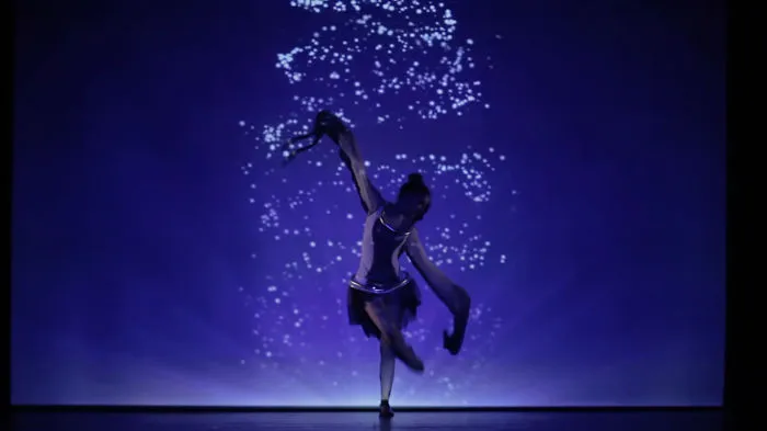 Visual Art Dance Performance
