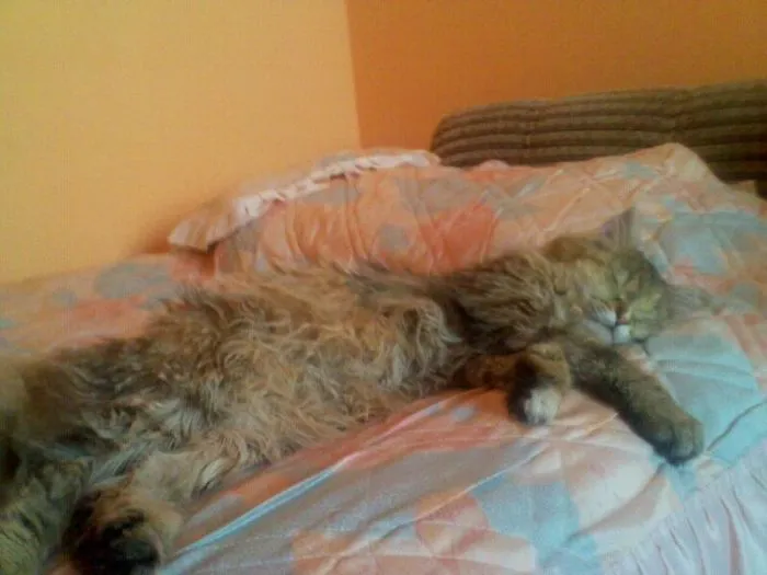 Nap Time