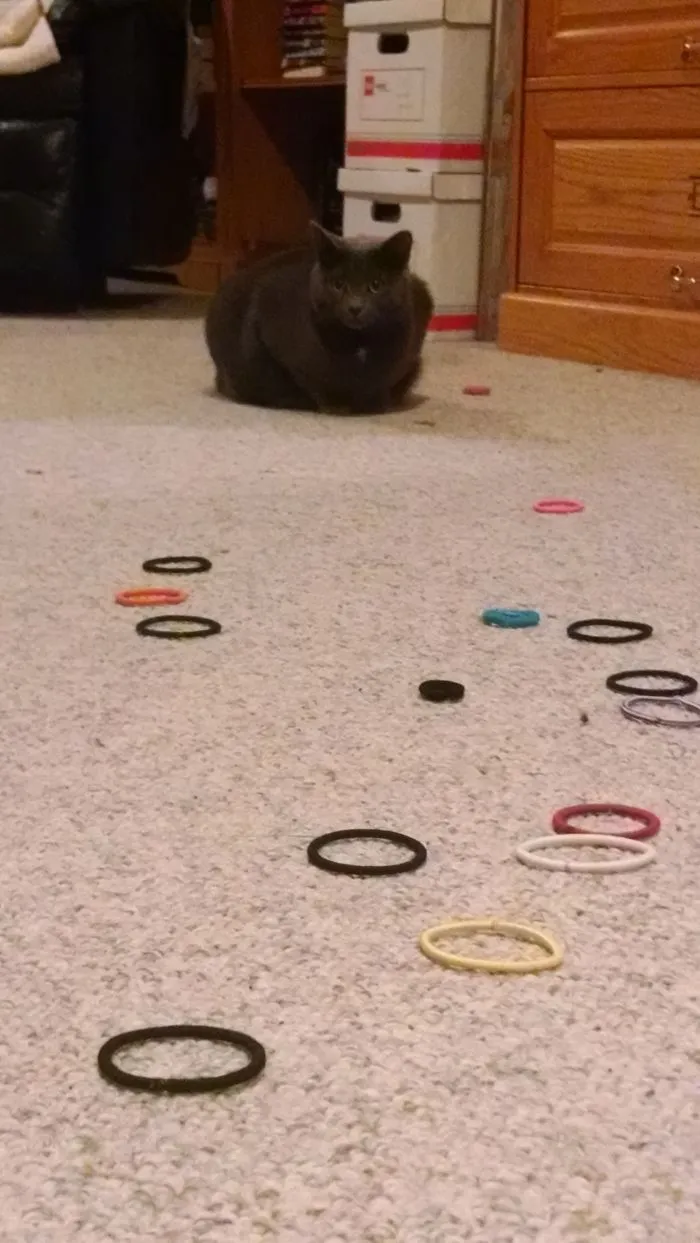Hair Ties Is My Thing , I Make Sure Plenty Available Everywhere... I Also Need More