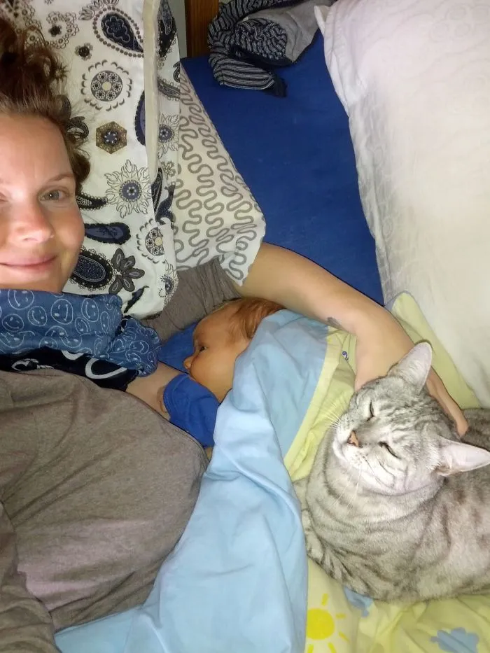 I Adopted Saphira An 8 Years Old Silber Bengal. The Cat Loves Me...