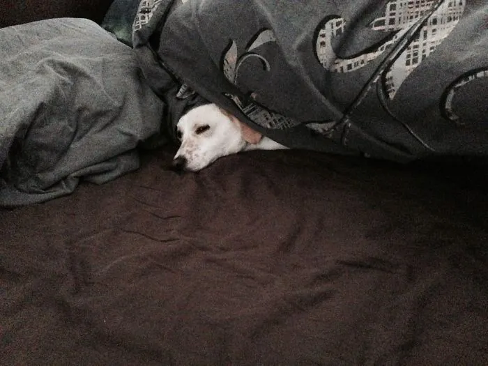 Princess On The Pea