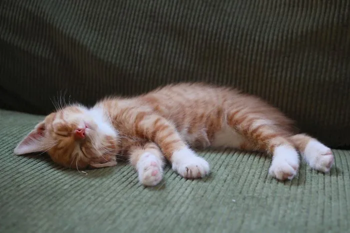 Bono And His First Days In New Home