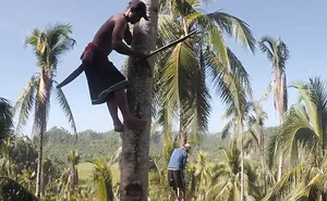 Kinabuhi: Inspiring Film Follows Filipino Coconut Farmers After Typhoon Hagupit