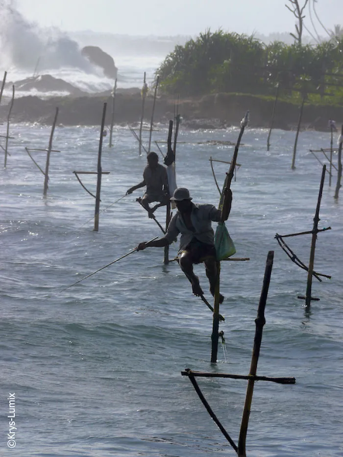 My Unforgettable Trip To Sri Lanka