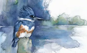When I'm Not Working As A Biologist, I Paint Watercolor Birds