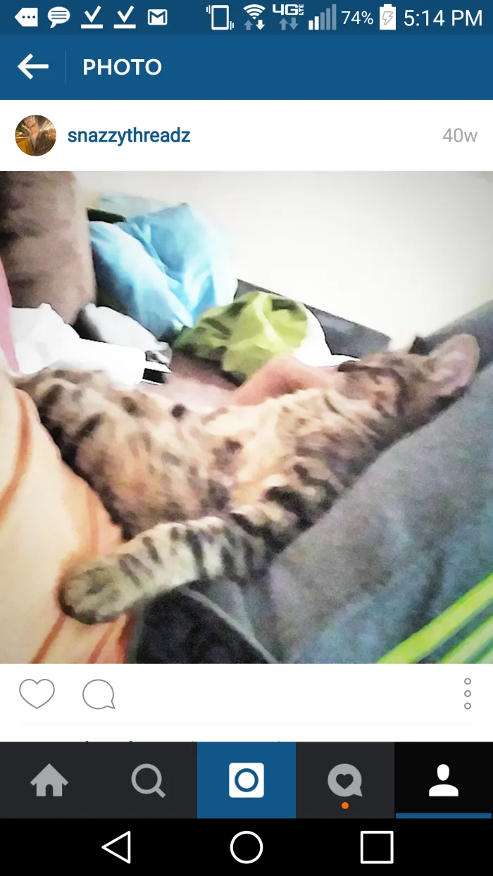 La-z Cat Recliner