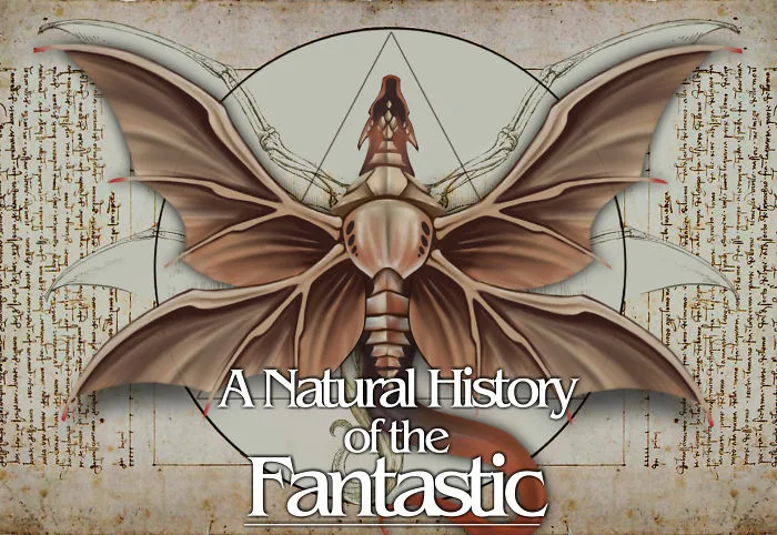The Anatomy Of Fantasy Creatures
