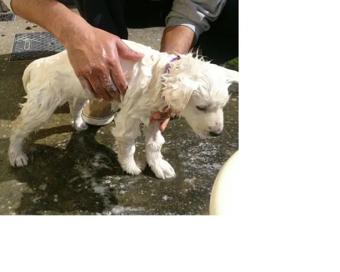 First Bath