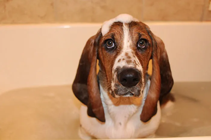 Gabby Taking A Bath