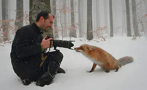 51 Animals That Want To Be Photographers