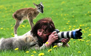 51 Animals That Want To Be Photographers