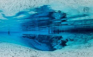 A Mermaid's Perspective: Underwater Photos That Will Make You Question Which Way Is Up