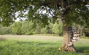 You Can Strap This Spiral Staircase Onto Any Tree Without Tools