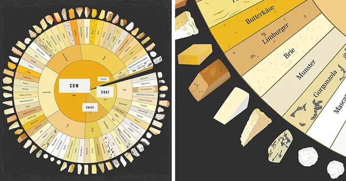 Our Cheese Wheel Chart Has 65 Delightful Cheeses From Around The World