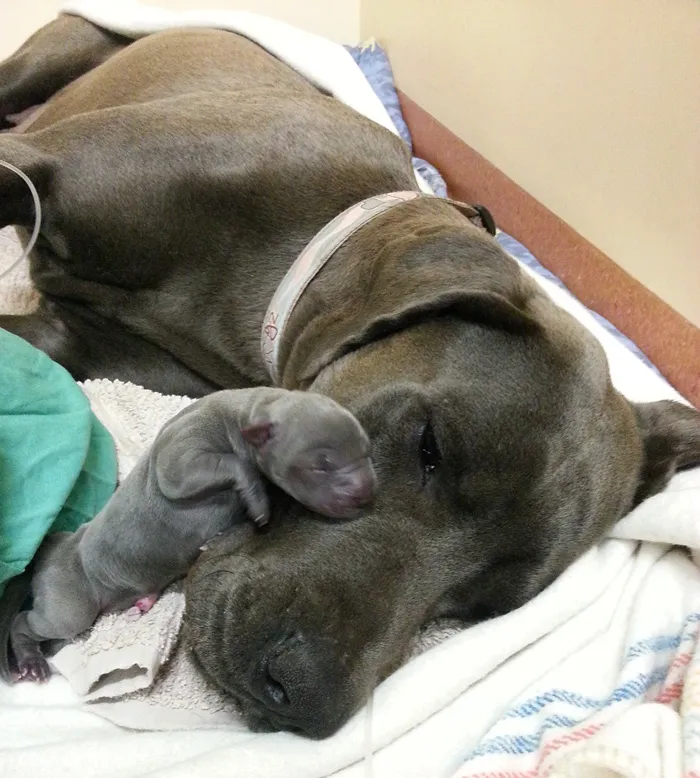 This Little Girl Had Just Been Brought Into This World